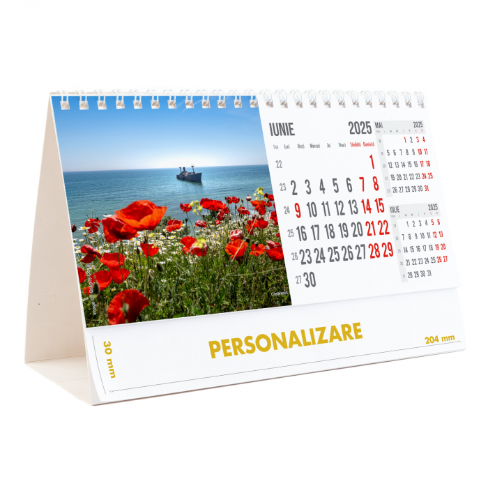 Calendar de birou Romania, 12 file, CD [13]