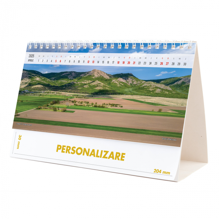 Calendar de birou Romania, 12 file, CD [8]