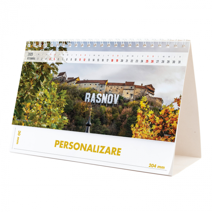 Calendar de birou Romania, 12 file, CD [20]