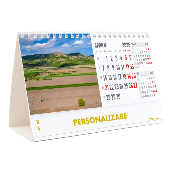 Calendar de birou Romania, 12 file, CD [9]