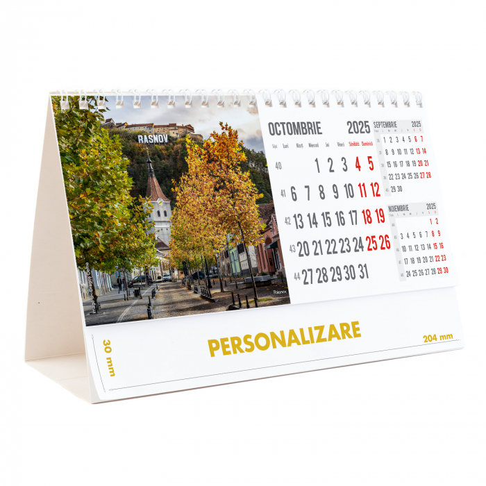 Calendar de birou Romania, 12 file, CD [21]