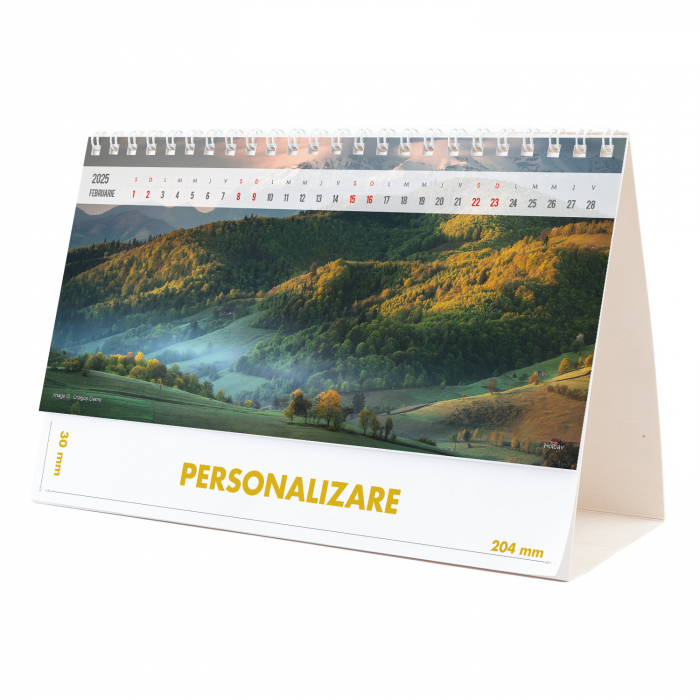 Calendar de birou Romania, 12 file, CD [4]