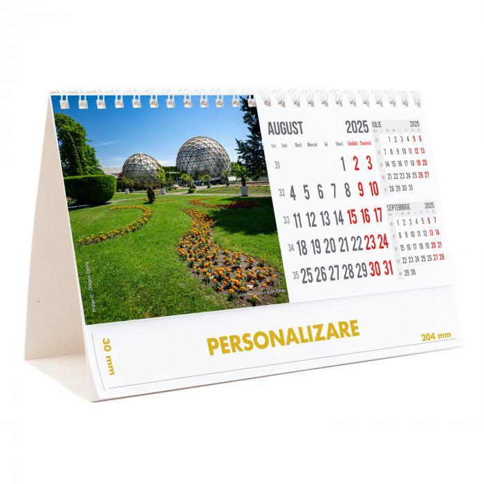 Calendar de birou Romania, 12 file, CD [17]