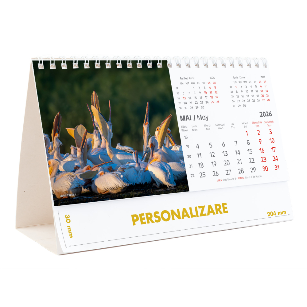 Calendar de birou Romania - comori nepretuite , 12 file, CD [11]