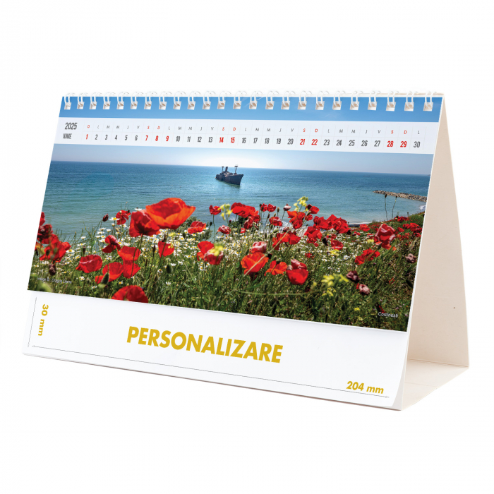 Calendar de birou Romania, 12 file, CD [12]