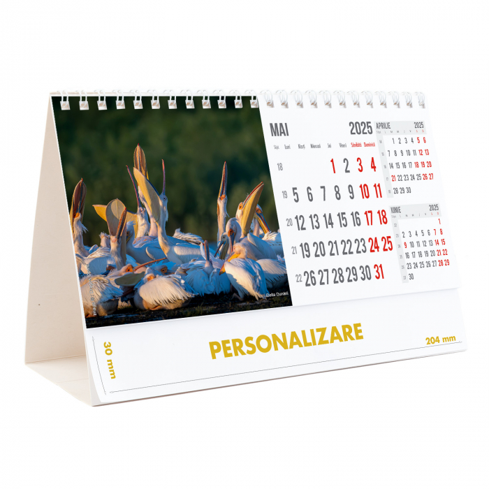 Calendar de birou Romania, 12 file, CD [11]