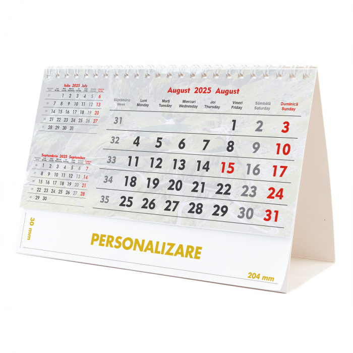 Calendar de birou Triptic - 6 file, CD [8]