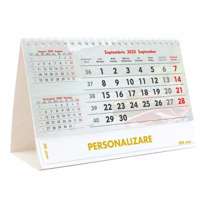 Calendar de birou Triptic - 6 file, CD [9]