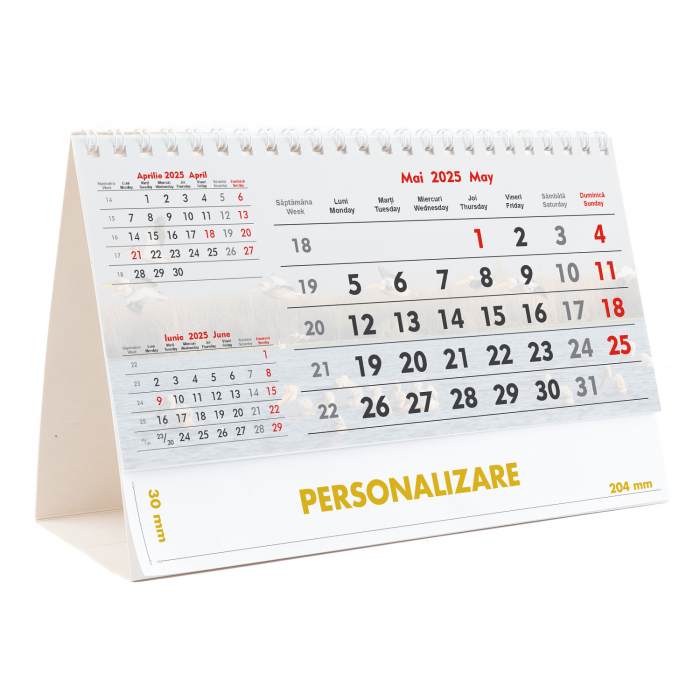 Calendar de birou Triptic - 6 file, CD [5]