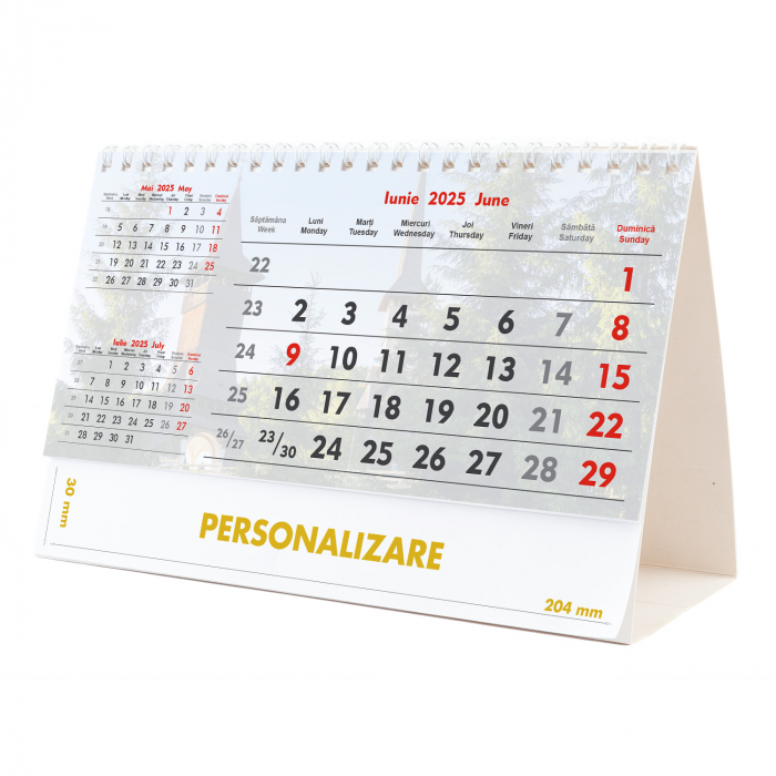 Calendar de birou Triptic - 6 file, CD [6]