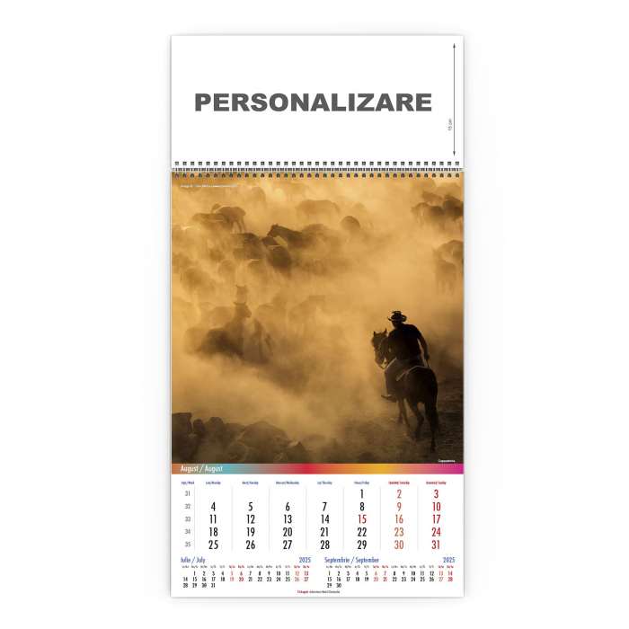 Calendar de perete Around the World, CD [9]