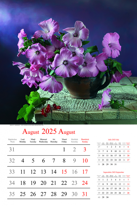 Calendar de perete Bouquets, CT [2]