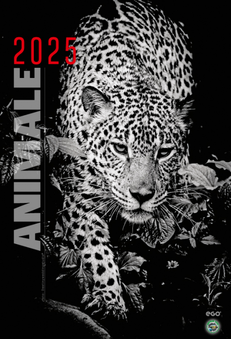 Calendar de perete COLECTIE ALTERNATIVA* , CA [2]