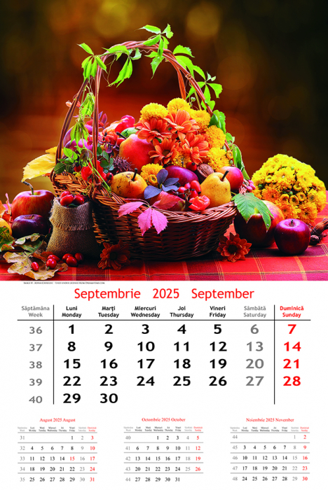 Calendar de perete Extravaganza, CT [2]