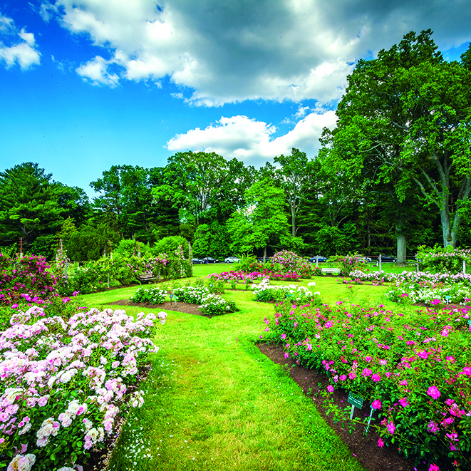 Calendar de perete Gardens, CT [10]
