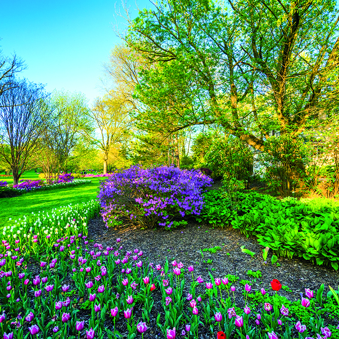 Calendar de perete Gardens, CT [8]