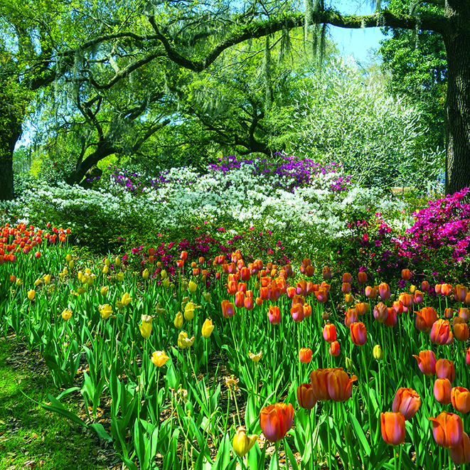 Calendar de perete Gardens, CT [7]