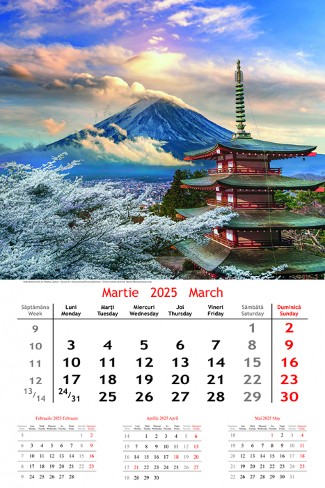Calendar de perete Holiday, CT [2]