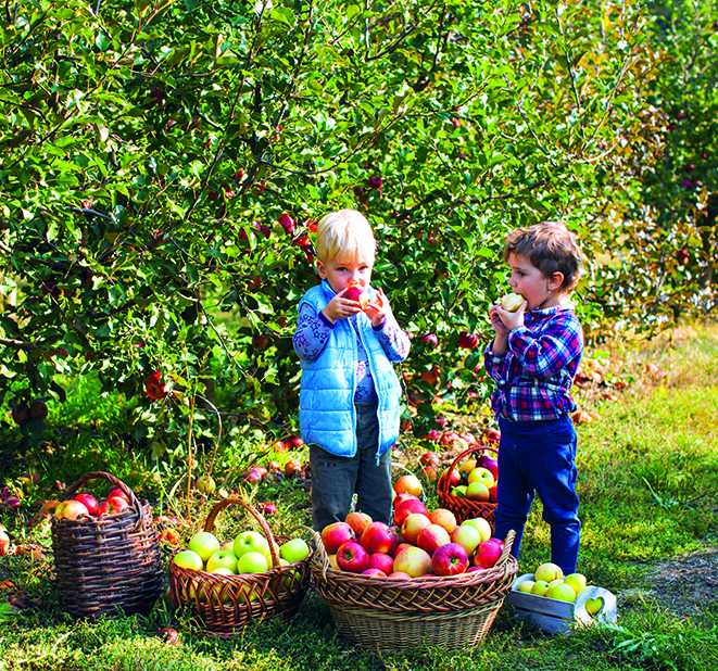 Calendar de perete Kids, CT [12]