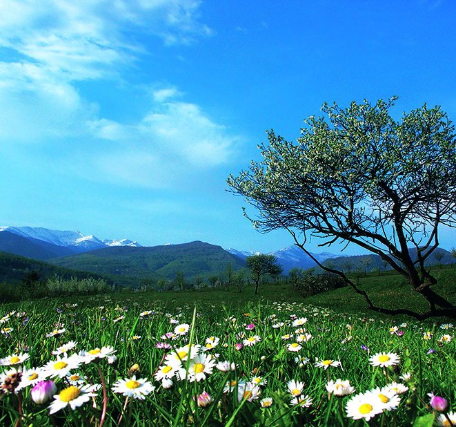 Calendar de perete Landscapes, CT [5]