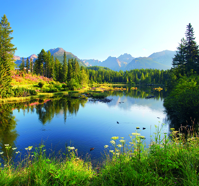 Calendar de perete Landscapes, CT [11]