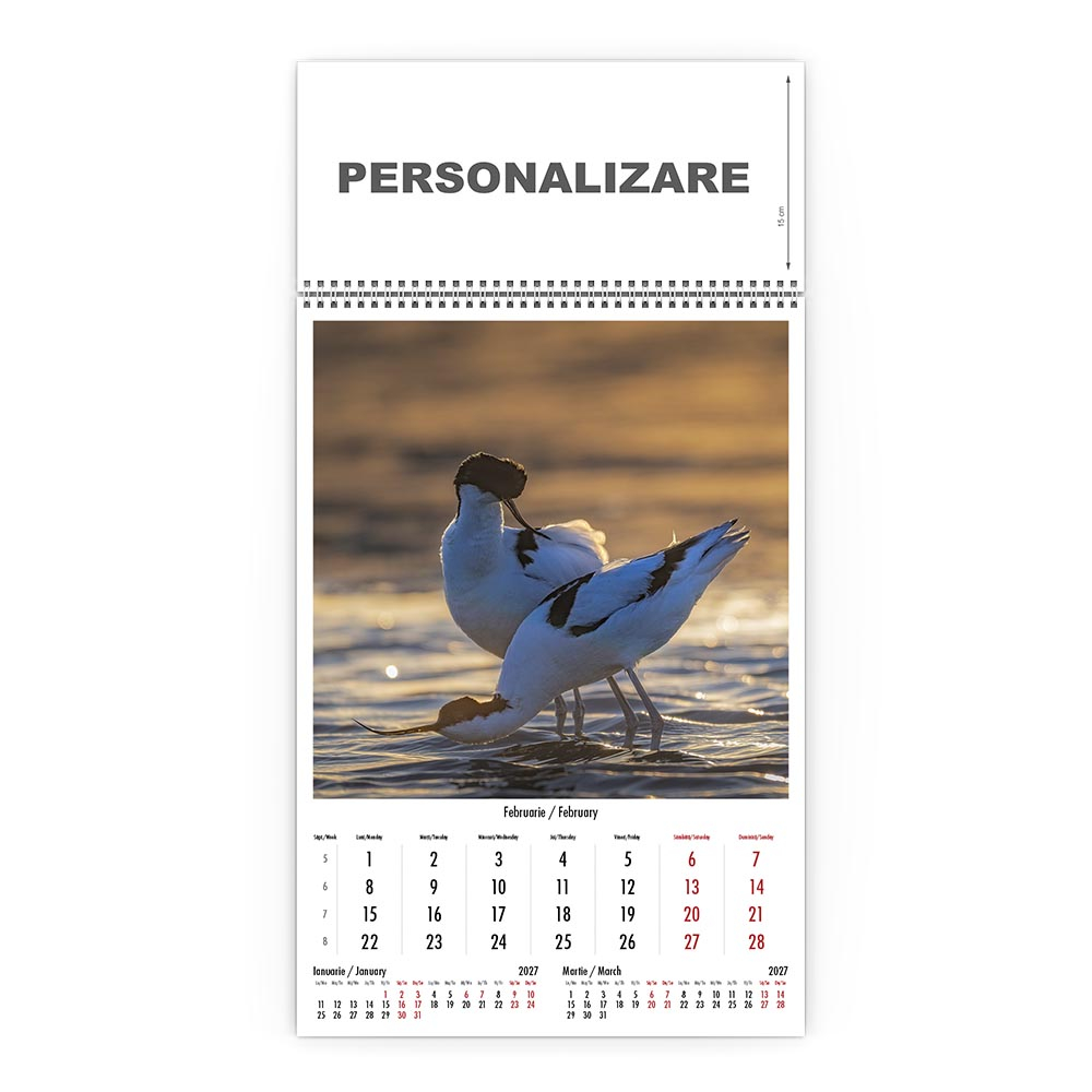 Calendar de perete Magia Deltei, CD [3]