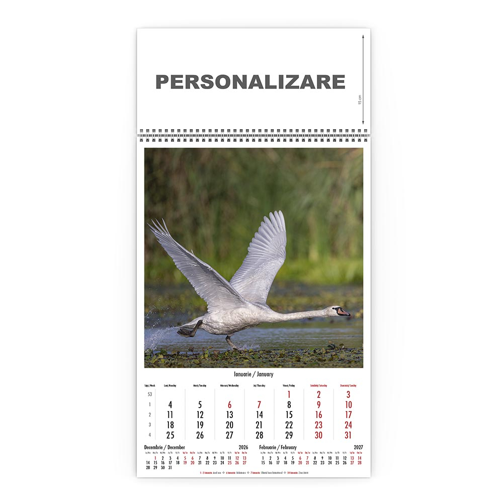 Calendar de perete Magia Deltei, CD [2]
