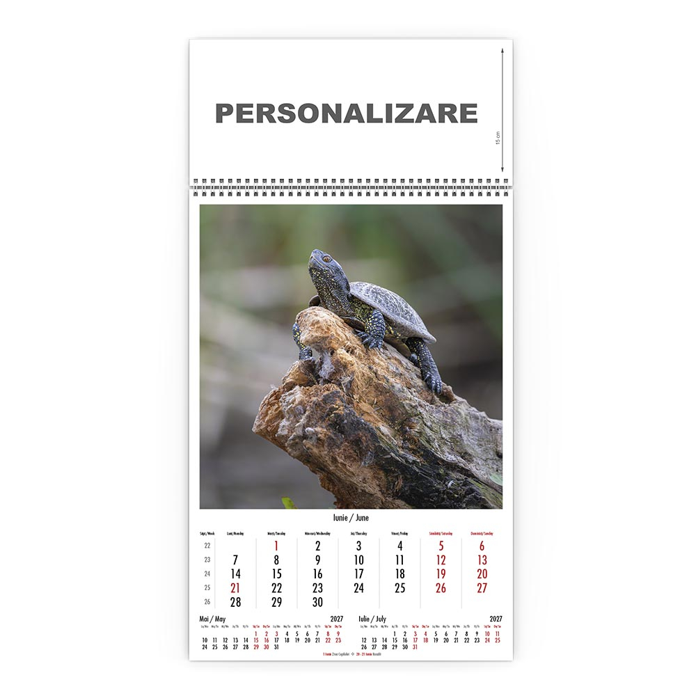 Calendar de perete Magia Deltei, CD [7]