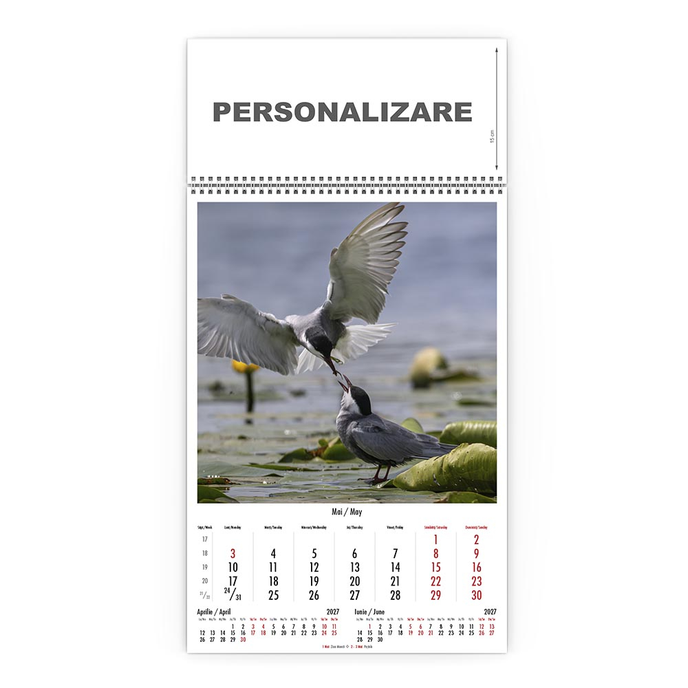 Calendar de perete Magia Deltei, CD [6]