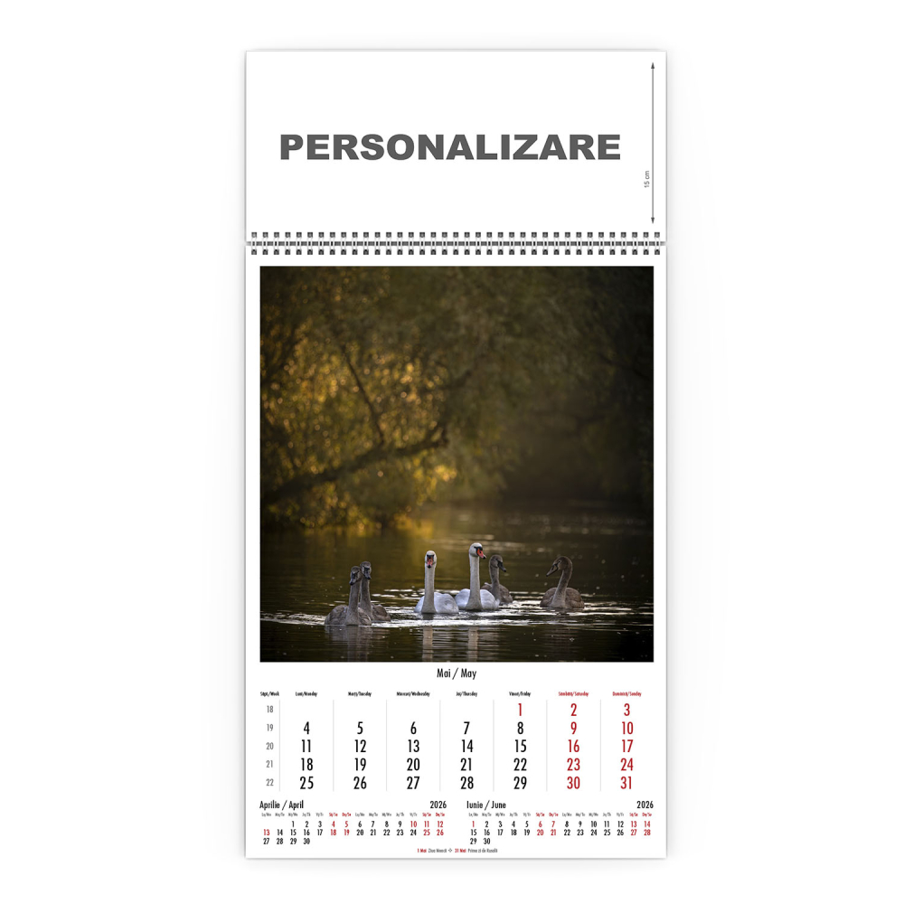 Calendar de perete Magia Deltei, CD [6]