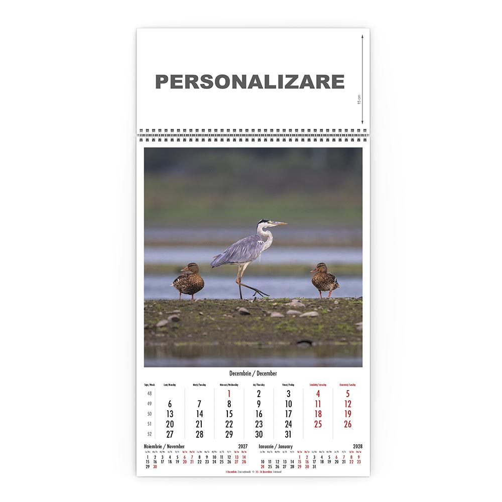 Calendar de perete Magia Deltei, CD [12]