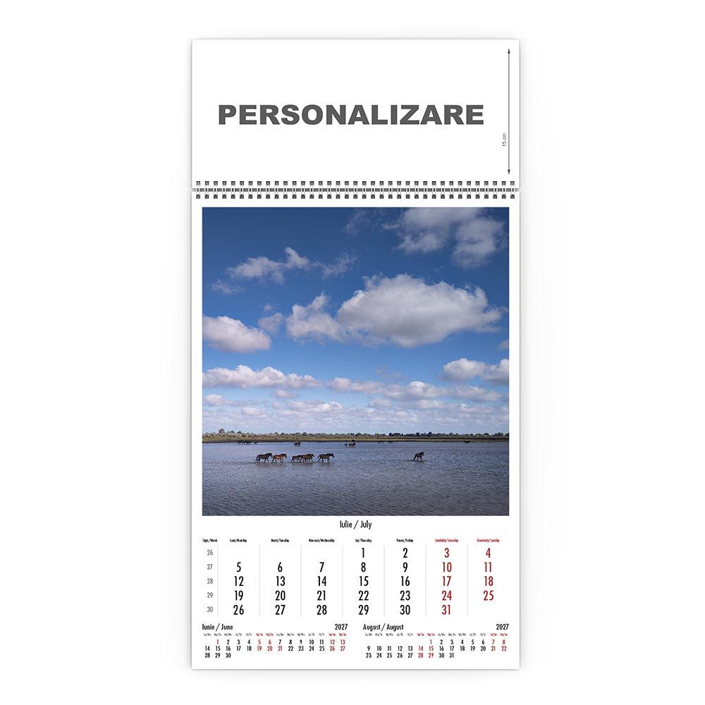 Calendar de perete Magia Deltei, CD [8]