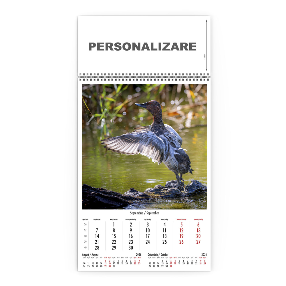 Calendar de perete Magia Deltei, CD [10]