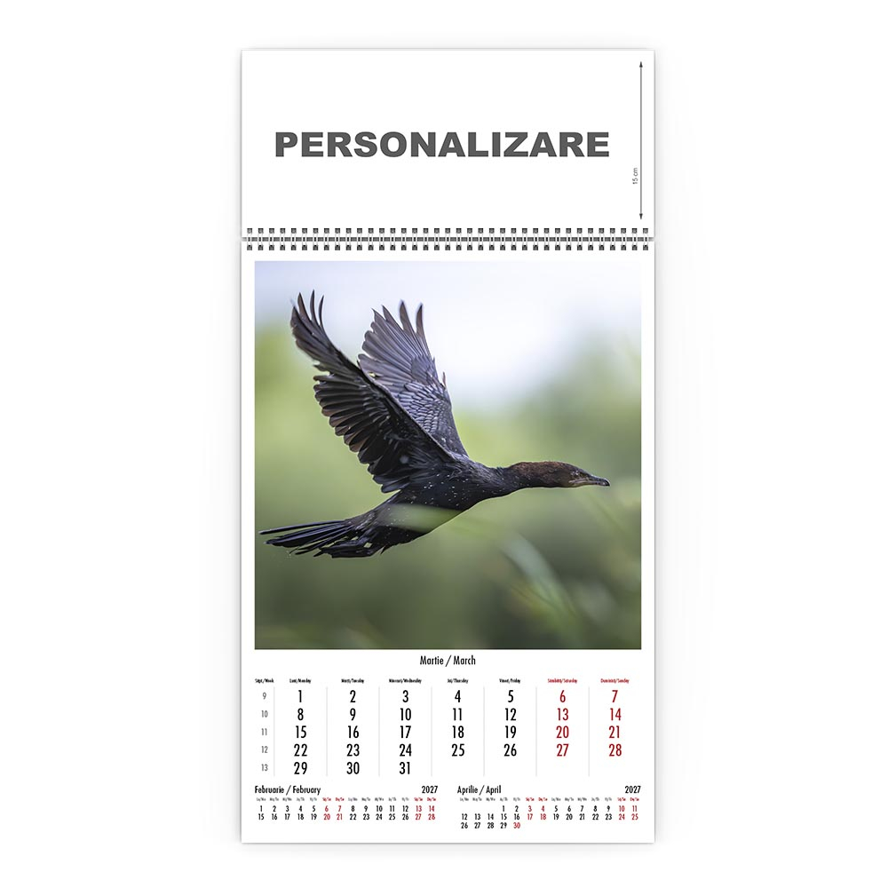 Calendar de perete Magia Deltei, CD [4]