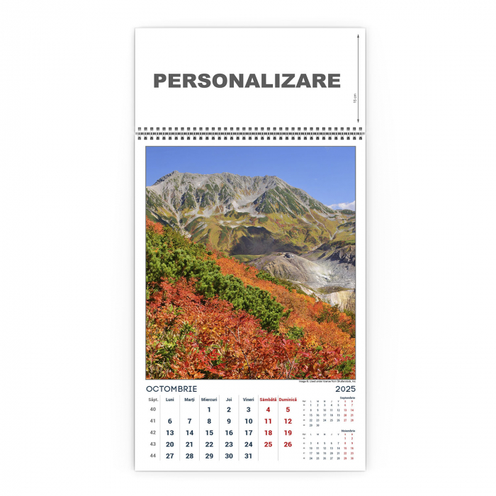 Calendar de perete Munti, CD [11]
