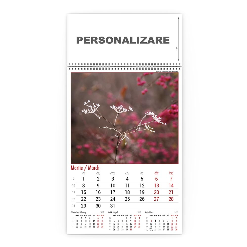 Calendar de perete Nature, CD [4]