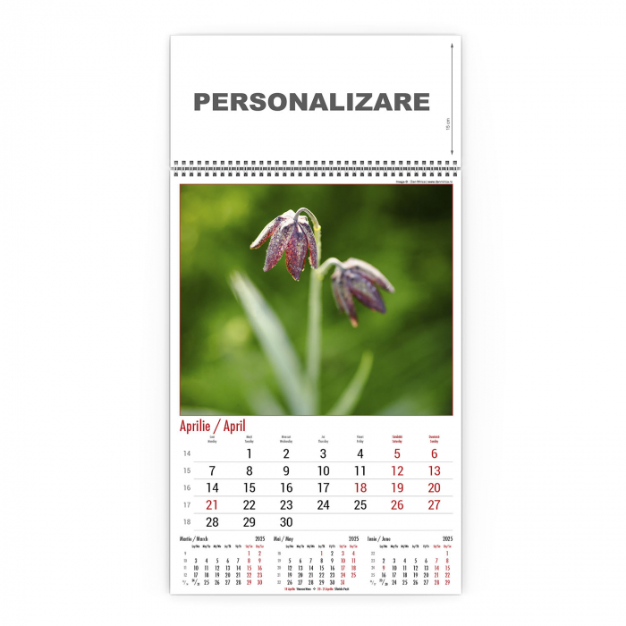 Calendar de perete Nature, CD [5]