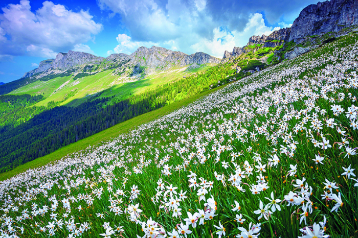 Calendar de perete Romania, CA [6]