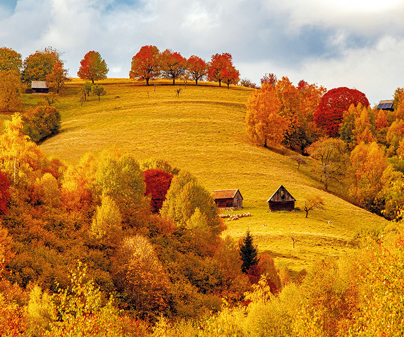 Calendar de perete Romania, CA [13]