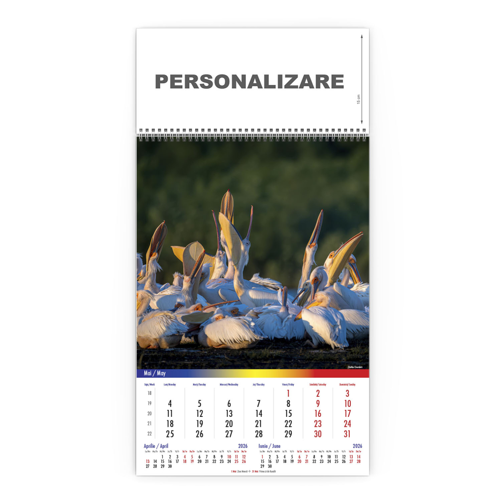 Calendar de perete Romania Comori Nepretuite, CD [6]
