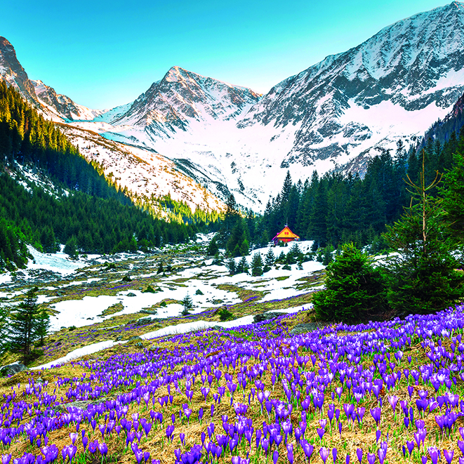 Calendar de perete Romania, CT [5]