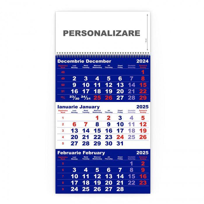 Calendar de perete TRIPTIC CLASIC 1 Albastru, CD [2]