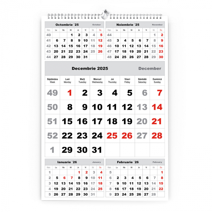 Calendar de perete TRIPTIC CLASIC 3 Argintiu,CD [2]