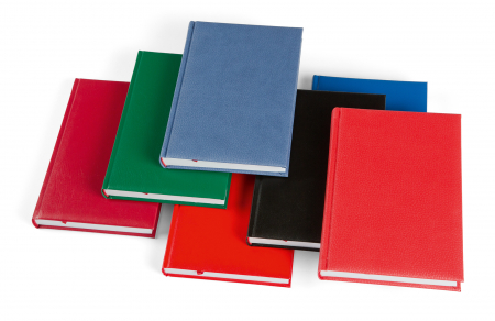 Agende datate - Agenda datata zilnic BASIC BR