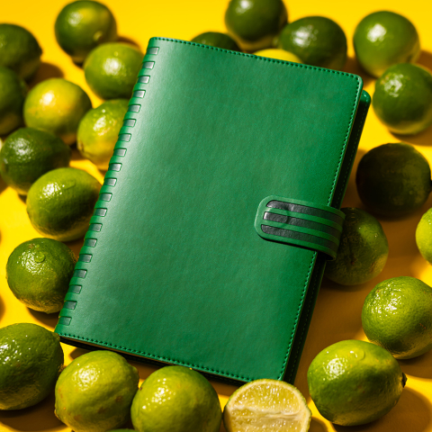 Agenda datata Olby [1]
