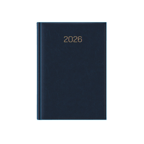 Agenda datata zilnic NEW KARACHI GOLD R460, 15 x 21 cm [2]
