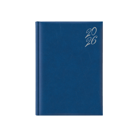 Agende datate - Agenda datata zilnic NEW KARACHI SILVER R460, 15 x 21 cm