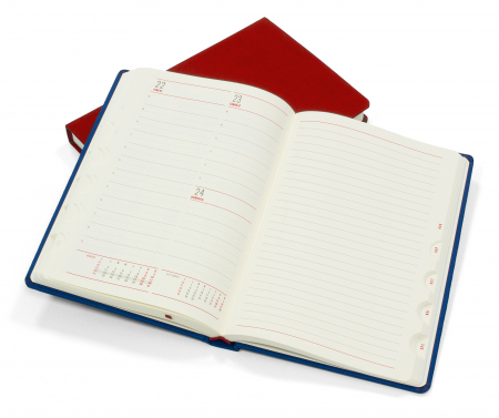 Agende datate - Agenda datata zilnic Office