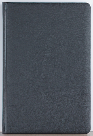 Agenda datata zilnic Office [2]