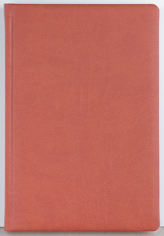 Agenda datata zilnic Office [1]